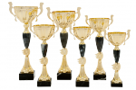 Cupă Standard - 4400 F