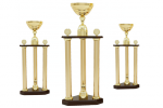 Trofeu Premium - 2431 C